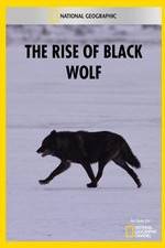 Watch The Rise of Black Wolf Xmovies8
