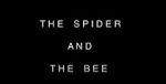 Watch The Spider and the Bee Xmovies8