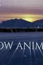 Watch Snow Animals Xmovies8