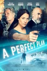 Watch A Perfect Plan Xmovies8