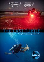 Watch The Last Turtle (Short 2019) Xmovies8