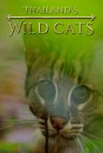 Watch Thailand's Wild Cats Xmovies8