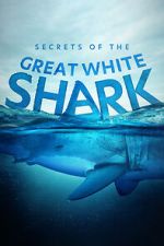 Watch Secrets of the Great White Shark Xmovies8