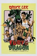 Watch Fury of the Dragon Xmovies8