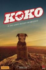 Watch Koko: A Red Dog Story Xmovies8