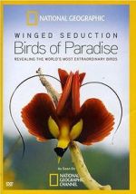 Watch Winged Seduction: Birds of Paradise Xmovies8