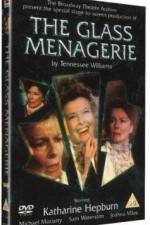 Watch The Glass Menagerie Xmovies8