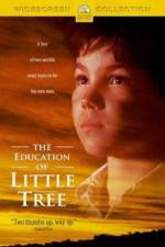 Watch The Education of Little Tree Xmovies8