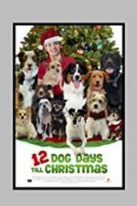 Watch 12 Dog Days Till Christmas Xmovies8