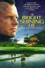Watch A Bright Shining Lie Xmovies8