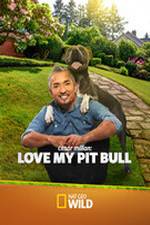 Watch Cesar Millan: Love My Pit Bull Xmovies8
