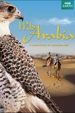 Watch Wild Arabia Xmovies8