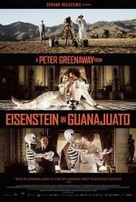 Watch Eisenstein in Guanajuato Xmovies8