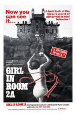 Watch The Girl in Room 2A Xmovies8