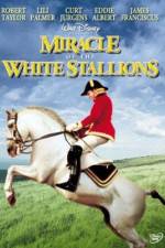 Watch Miracle of the White Stallions Xmovies8