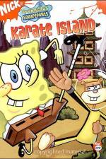 Watch SpongeBob SquarePants Whale of a BirthdayKarate Island Xmovies8