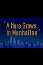 Watch A Hare Grows in Manhattan Xmovies8