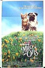 Watch Milo & Otis Xmovies8