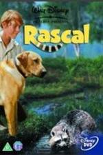 Watch Rascal Xmovies8