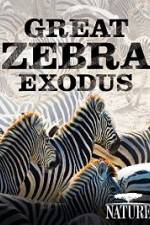 Watch Nature: Great Zebra Exodus Xmovies8