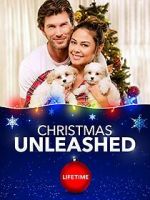 Watch A Doggone Christmas Xmovies8