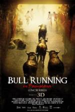 Watch Encierro 3D: Bull Running in Pamplona Xmovies8