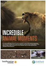 Watch Incredible Animal Moments Xmovies8