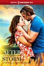 Watch After the Storm Xmovies8