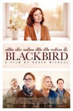 Watch Blackbird Xmovies8