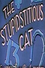 Watch Stupidstitious Cat Xmovies8