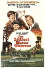 Watch The Littlest Horse Thieves Xmovies8