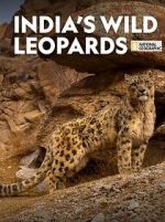 Watch India\'s Wild Leopards (Short 2020) Xmovies8