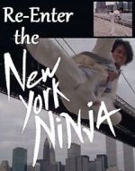 Watch Re-Enter the New York Ninja Xmovies8