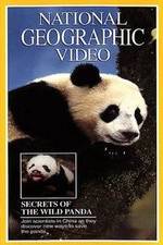 Watch Secrets of the Wild Panda Xmovies8