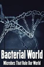 Watch Bacterial World Xmovies8