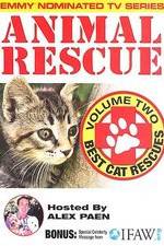 Watch Animal Rescue, Volume 2: Best Cat Rescues Xmovies8