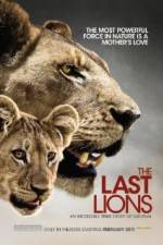 Watch The Last Lions Xmovies8