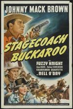 Watch Stagecoach Buckaroo Xmovies8