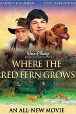 Watch Where the Red Fern Grows Xmovies8