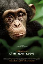 Watch Chimpanzee Xmovies8