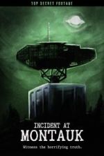 Watch Incident at Montauk Xmovies8