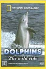 Watch Dolphins: The Wild Side Xmovies8