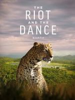 Watch The Riot and the Dance Xmovies8