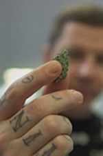 Watch Professor Green: Is It Time to Legalise Weed? Xmovies8