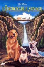 Watch Homeward Bound: The Incredible Journey Xmovies8