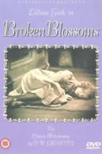 Watch Broken Blossoms or The Yellow Man and the Girl Xmovies8