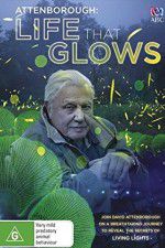Watch Attenborough\'s Life That Glows Xmovies8