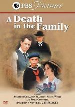 Watch A Death in the Family Xmovies8