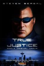 Watch True Justice: Brotherhood Xmovies8