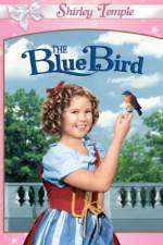 Watch The Blue Bird Xmovies8